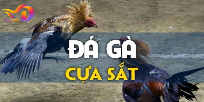 Tổng quan về đá gà cựa sắt